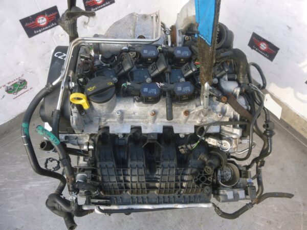 Motor 2.0 TSI iV 4 cilindros en línea 204 CV Kodiaq Volkswagen Tiguan, Audi Q3